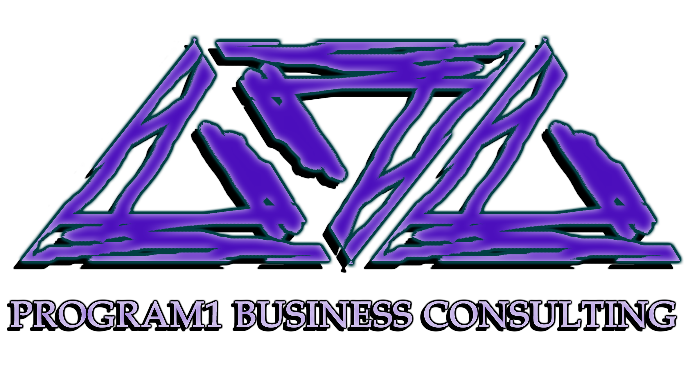 Program 1 Business Consulting